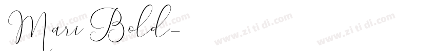 Mari Bold字体转换